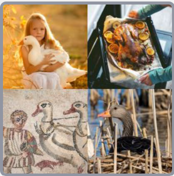 4 Fotos 1 Palabra Nivel 2812