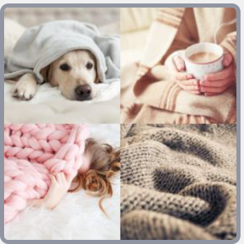 4 Fotos 1 Palabra Nivel 2815