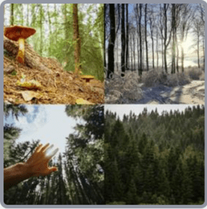 4 Fotos 1 Palabra Nivel 2826