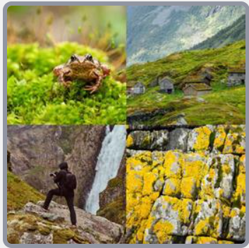 4 Fotos 1 Palabra Nivel 2829