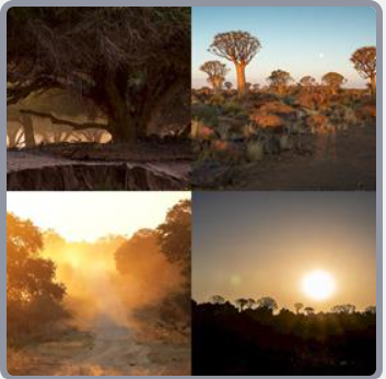 4 Fotos 1 Palabra Nivel 2916