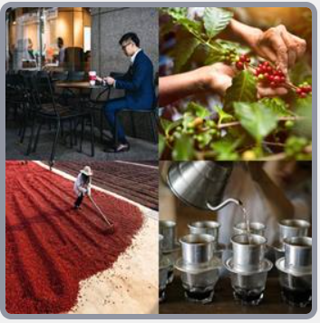 4 Fotos 1 Palabra Nivel 2925