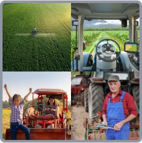 4 Fotos 1 Palabra Nivel 3004