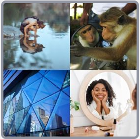 4 Fotos 1 Palabra Nivel 3009