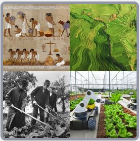 4 Fotos 1 Palabra Nivel 3024