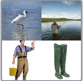 4 Fotos 1 Palabra Nivel 3052