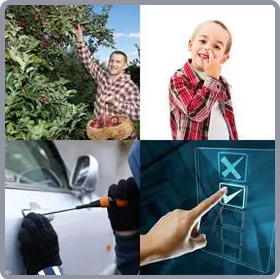 4 Fotos 1 Palabra Nivel 3092