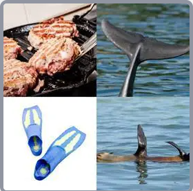 4 Fotos 1 Palabra Nivel 3094