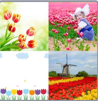 Cuatro Fotos Una Palabra Nivel 1301