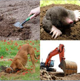 Cuatro Fotos Una Palabra Nivel 1346