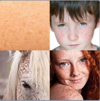 Cuatro Fotos Una Palabra Nivel 1349